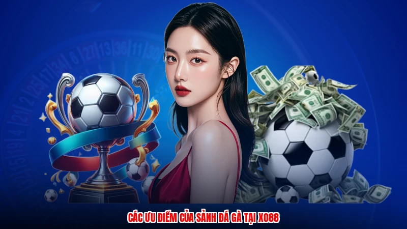 Các ưu điểm của sảnh đá gà tại XO88