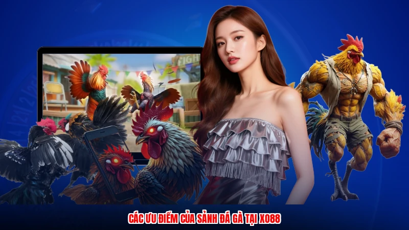 Các ưu điểm của sảnh đá gà tại XO88