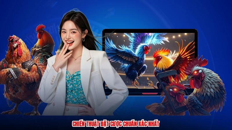 Chiến thuật đặt cược chuẩn xác nhất