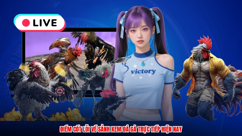 Điểm cốt lõi về sảnh xem đá gà trực tiếp hiện nay