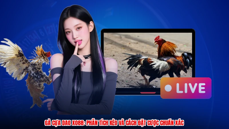 Gà Cựa Dao XO88: Phân Tích Kèo Và Cách Đặt Cược Chuẩn Xác