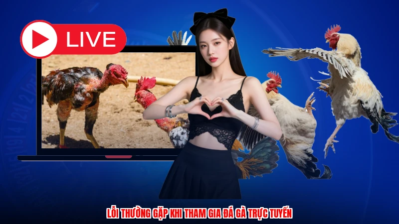 Lỗi thường gặp khi tham gia đá gà trực tuyến