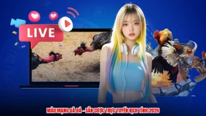 Màu Mạng Gà Đá - Sân Cược Trực Tuyến Kịch Tính 2026