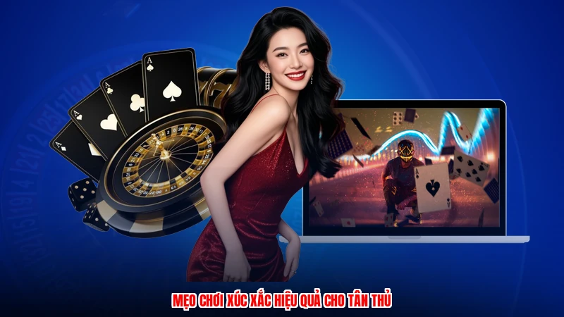 Mẹo chơi xúc xắc hiệu quả cho tân thủ