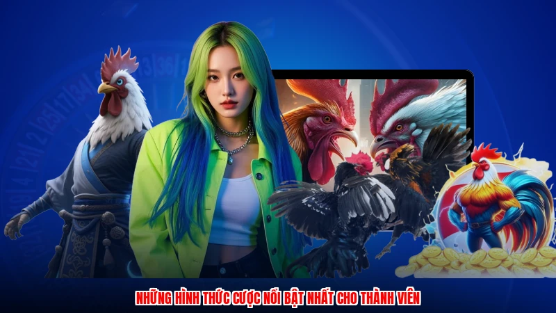 Những hình thức cược nổi bật nhất cho thành viên
