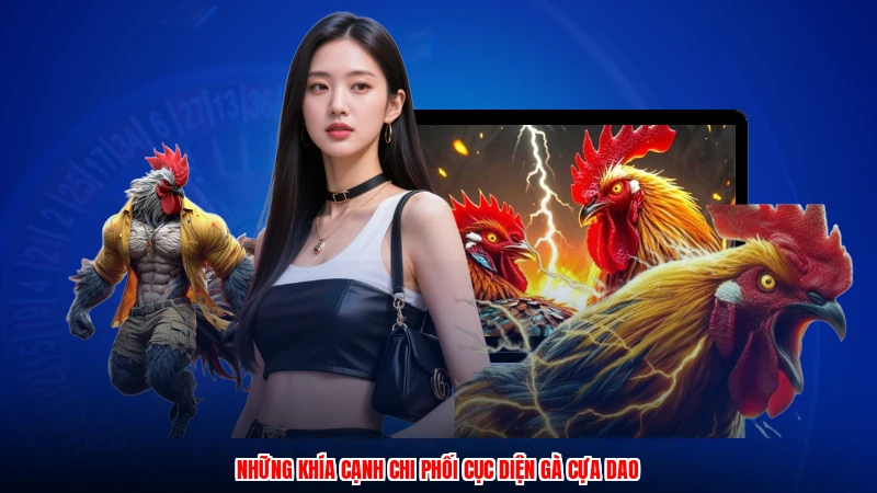 Những khía cạnh chi phối cục diện gà cựa dao