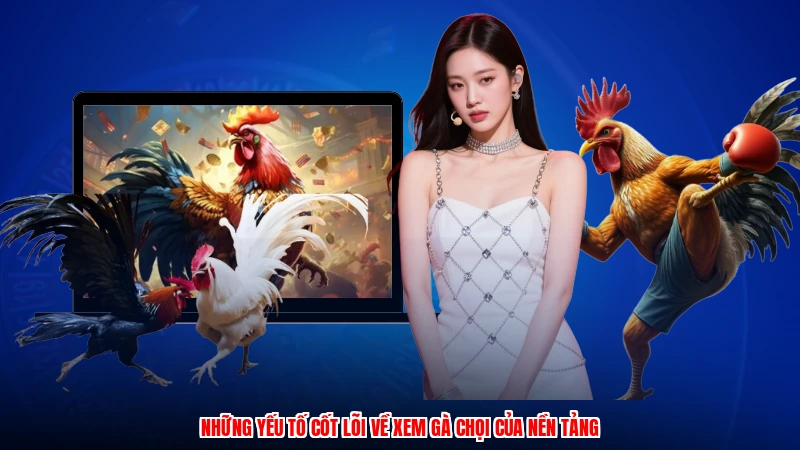 Những yếu tố cốt lõi về xem gà chọi của nền tảng