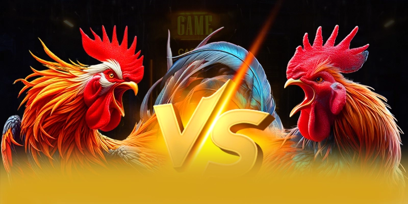 Điểm khác biệt của 8XBET so với các nhà cái khác