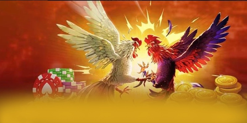 Câu hỏi thường gặp về 8XBET